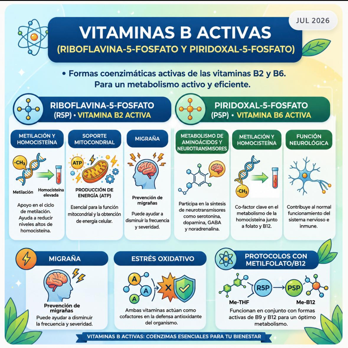 Vitaminas B activas