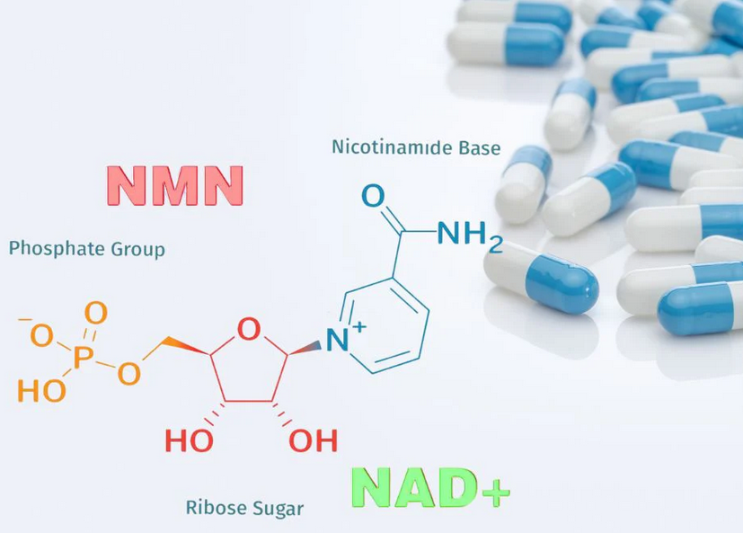 Suplementos Especializados