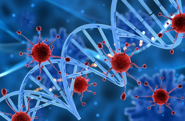 Suplementos Especializados